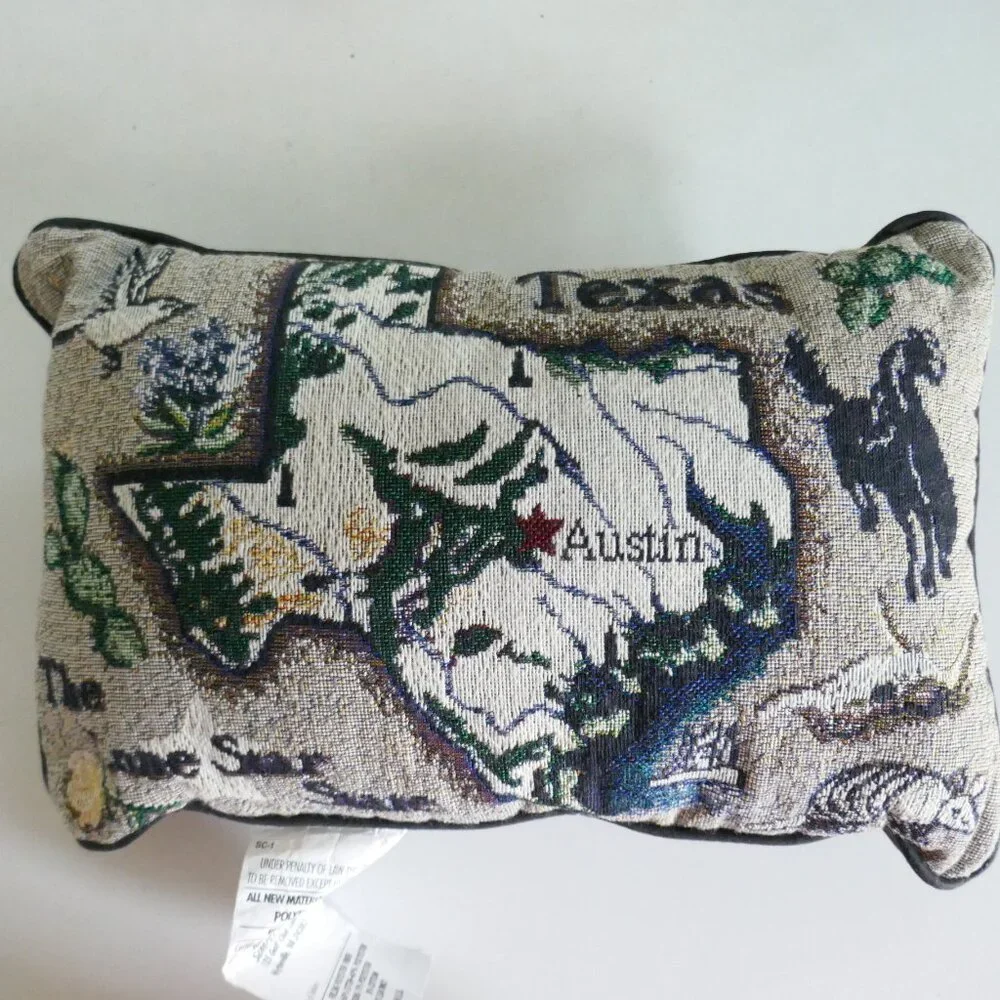 Texas decorative needlepoint pillow with map and things that represent TX